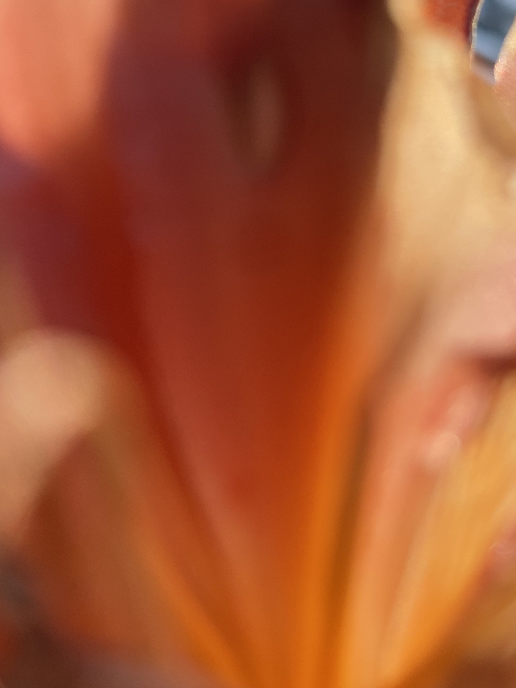 Flower photograph 56 by Daniel Zox