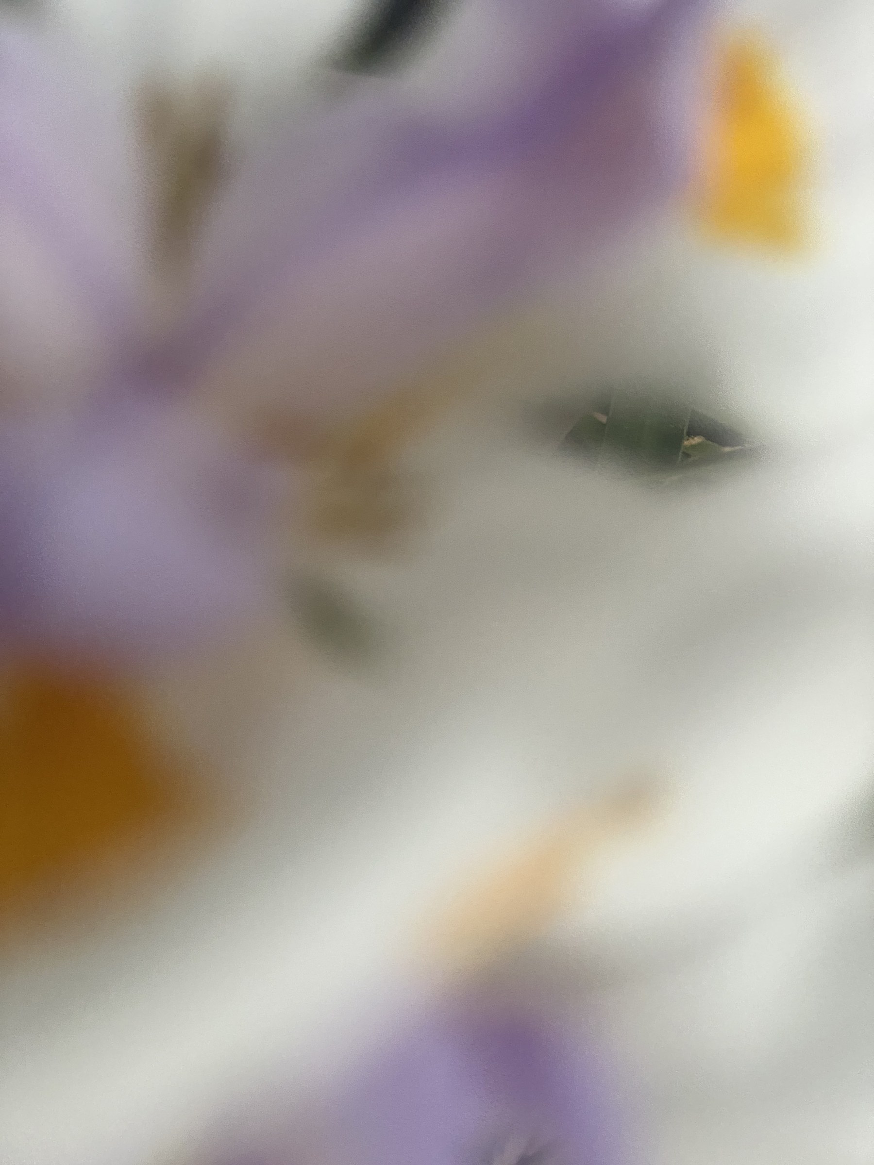 Flower photograph 114 by Daniel Zox