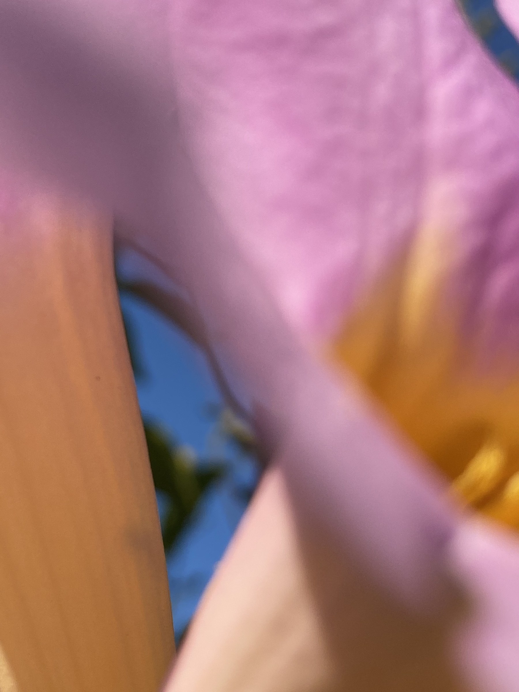 Flower photograph 128 by Daniel Zox