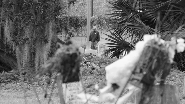 Man visiting Holt