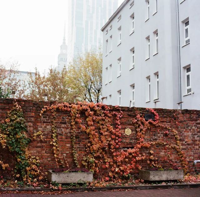 Warsaw brick wall