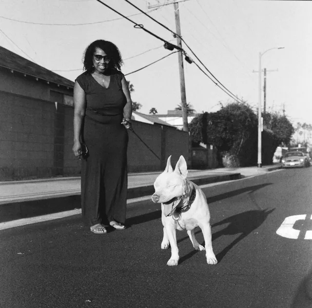 Caretaker and yawning dog