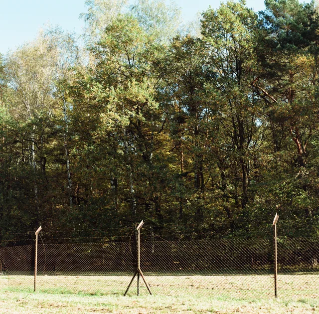 Three fence posts